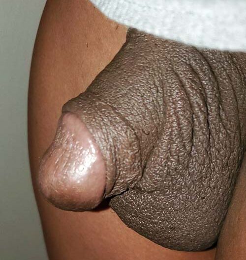 Small Black Penis magro nude