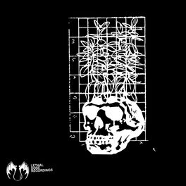 calvin dillon recommends Black Prone Bone