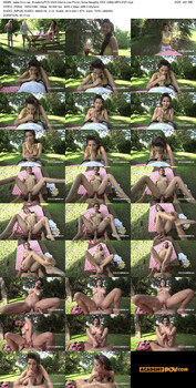 darcia lee picnic