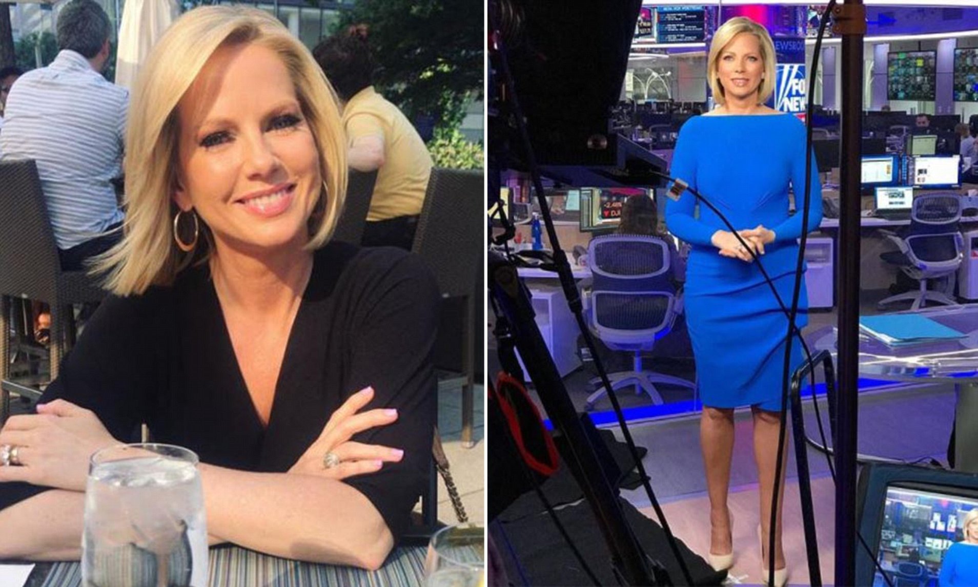 annette gilman recommends Shannon Bream Hot