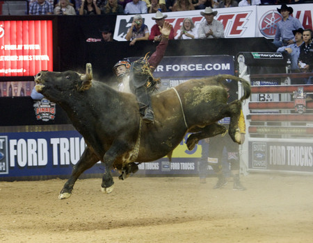 brittany waltz recommends naked bull rider pic