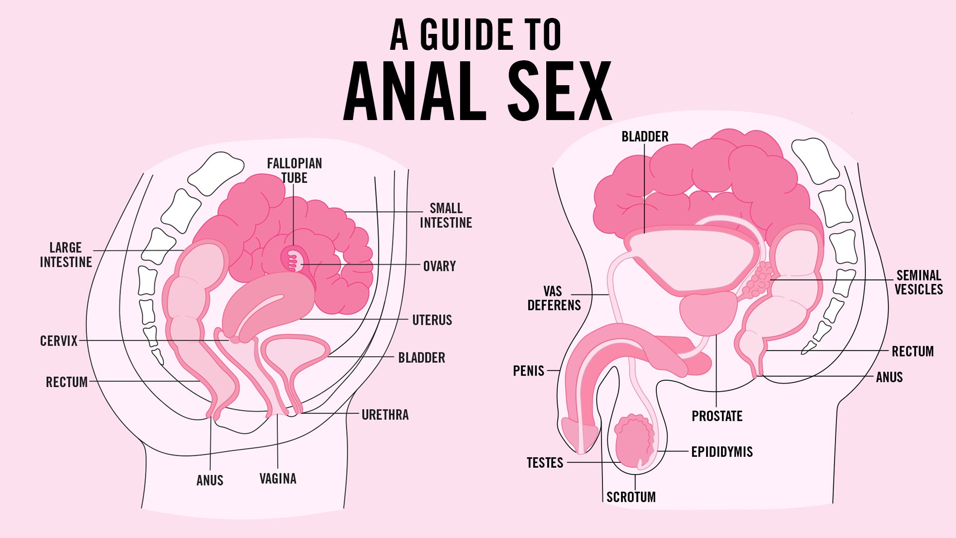 Anal Penetration Hd r legal