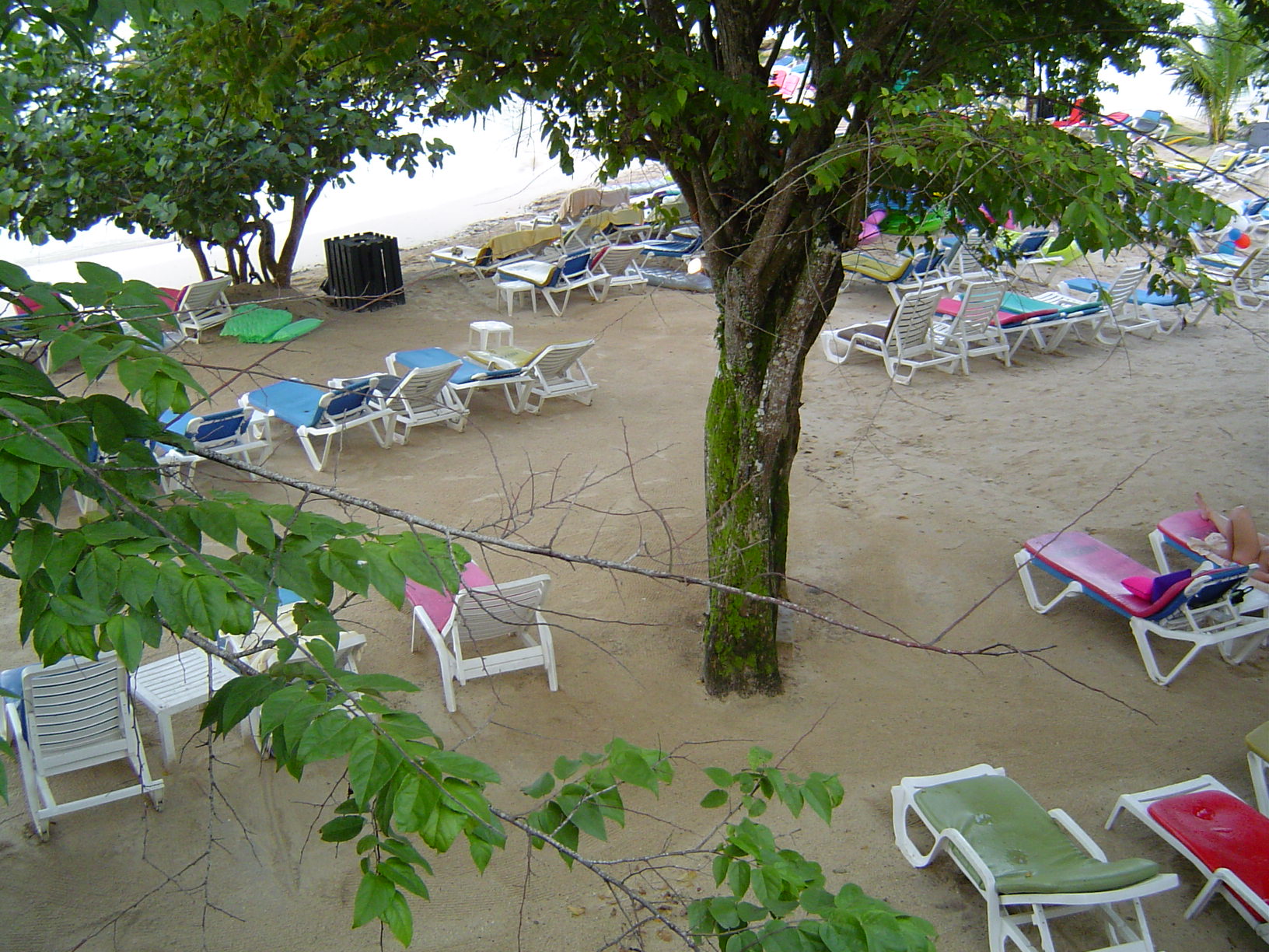 badal ramoutar add naked beach jamaica photo