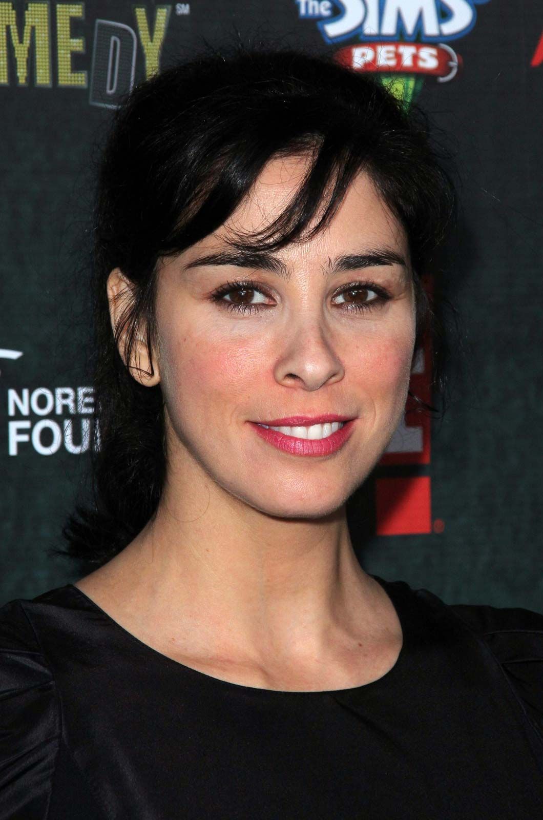 clinton mcguire recommends sarah silverman full frontal pic