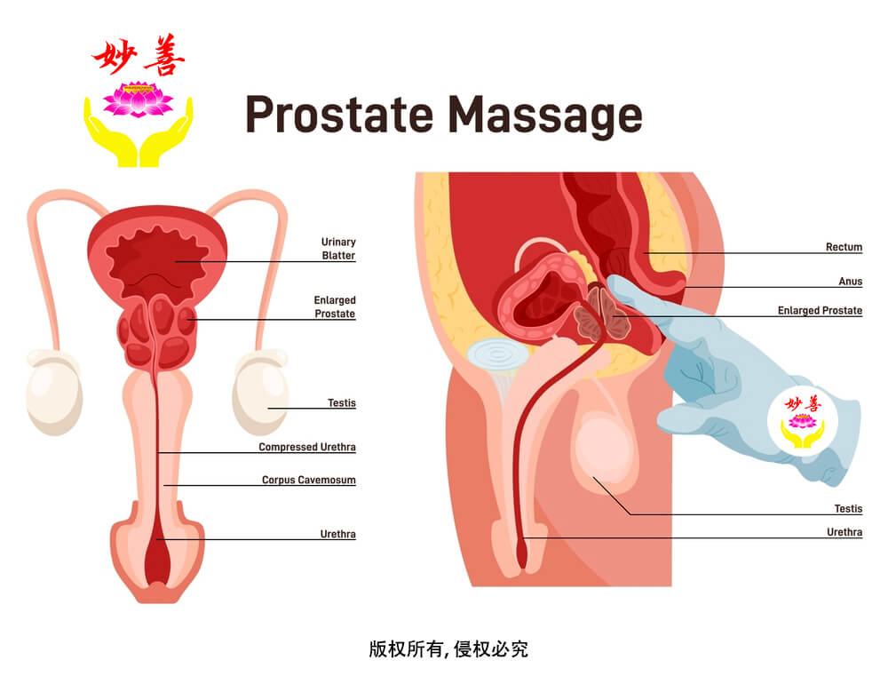 benjamin calvo recommends Japanese Prostate Massage