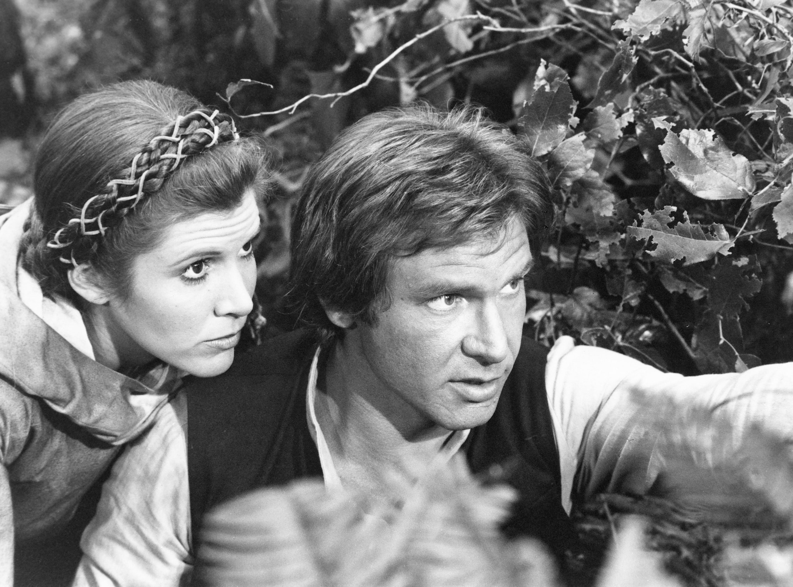 avril griffin recommends carrie fisher porn amir rusydi add carrie fisher porn photo