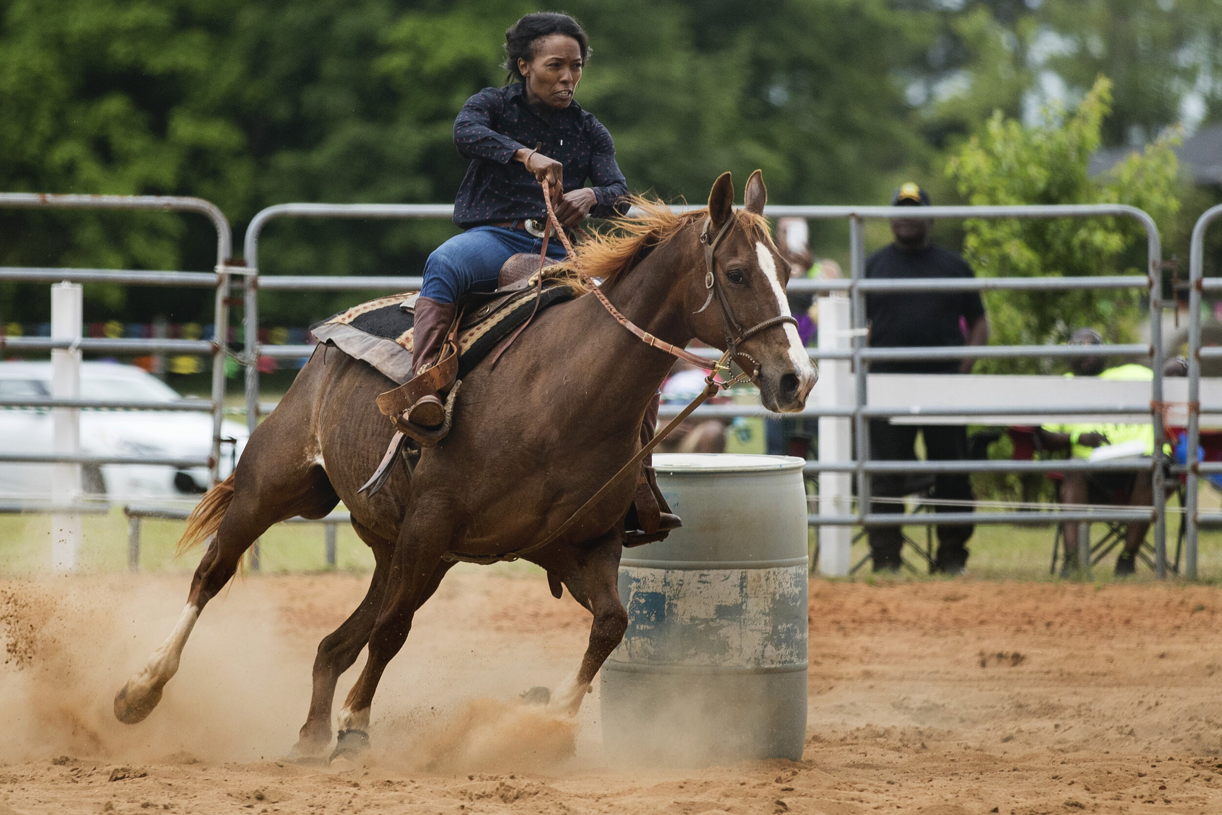 ari schwab recommends damita rider pic