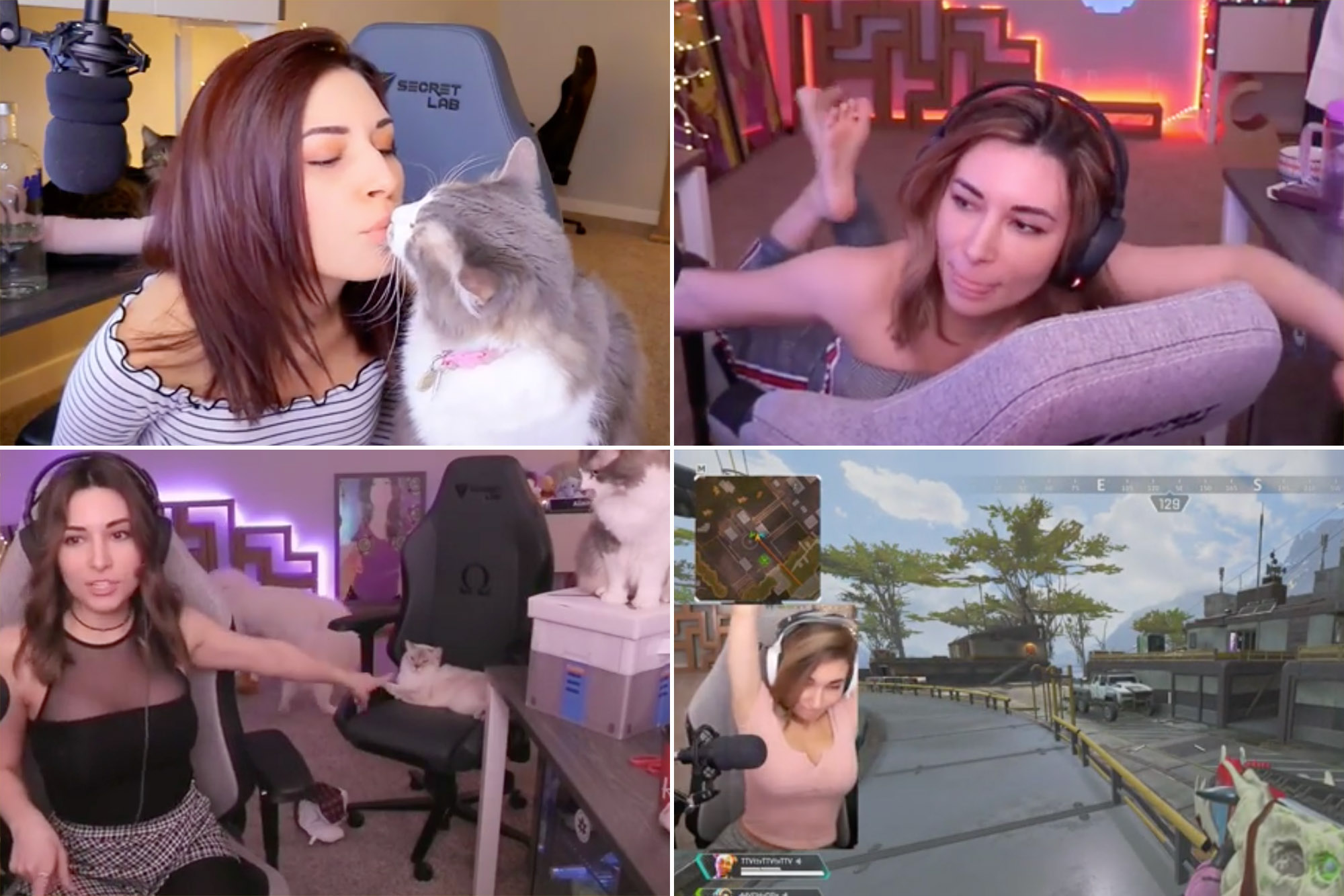 chino collins recommends alinity boobs pic