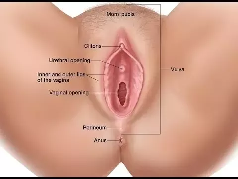 arie ariefin recommends sucking vagina pic