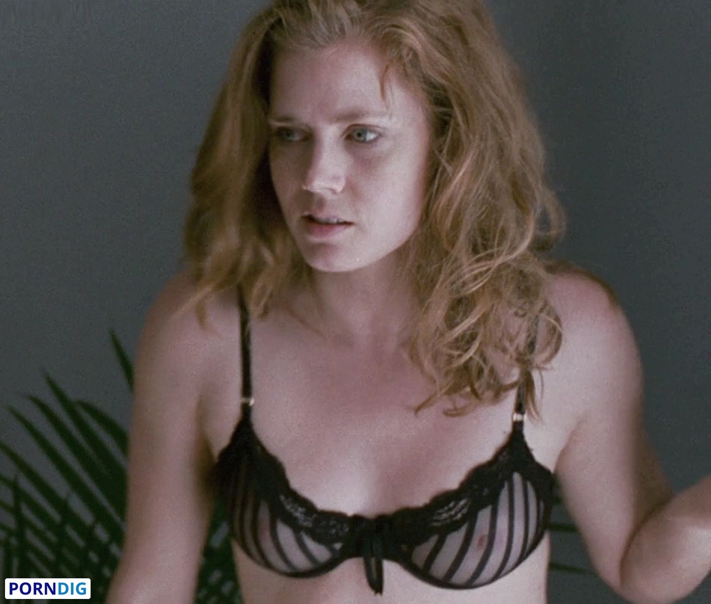 pictures of amy adams naked