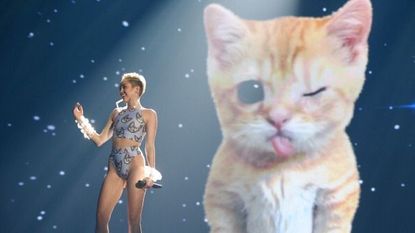 brenda pough recommends Miley Kitty