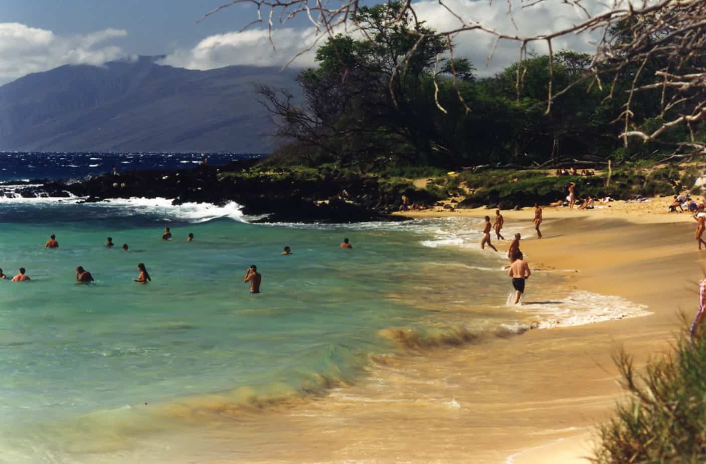 big tits in hawaii