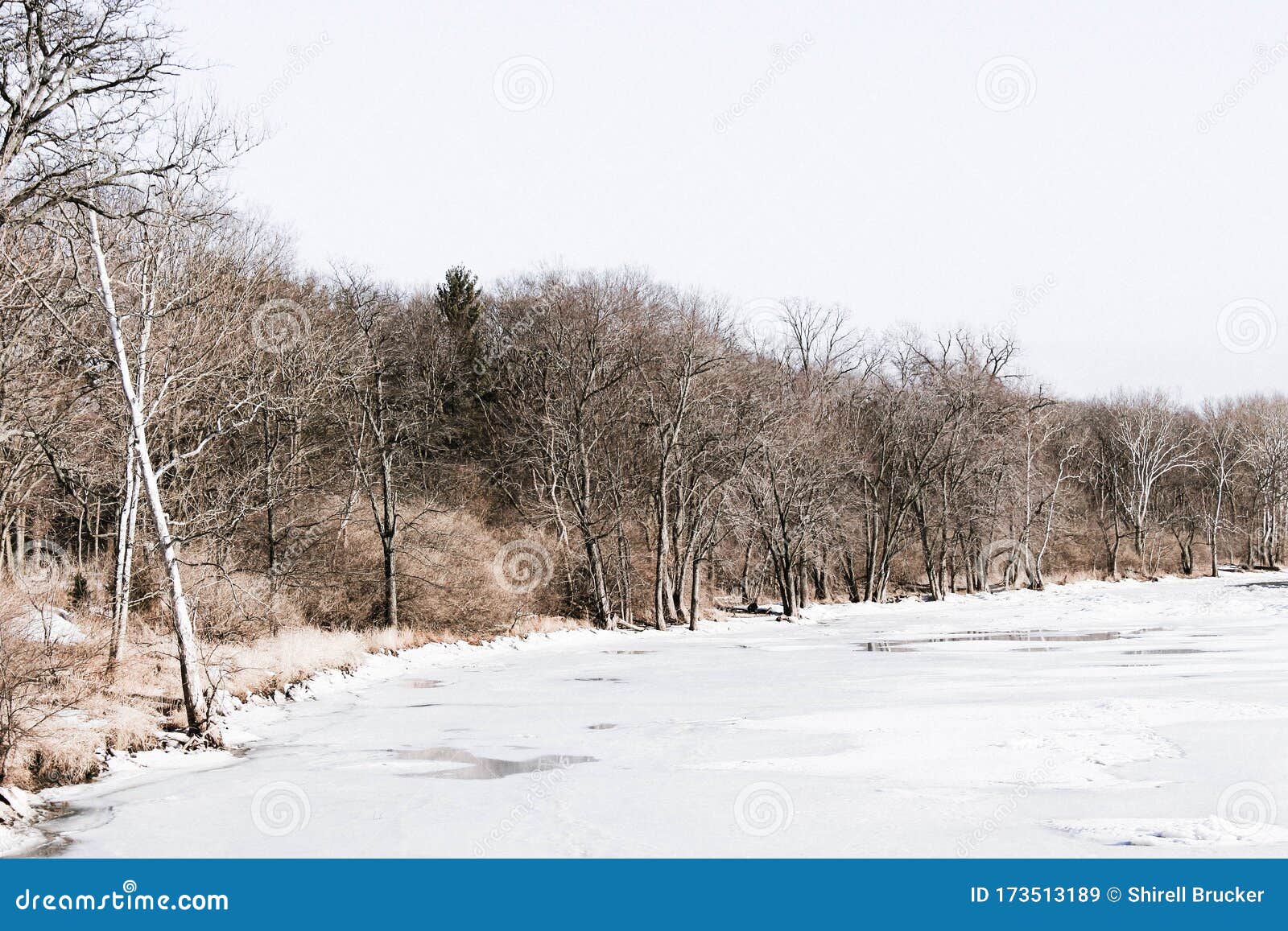 david hopgood add river stark photo