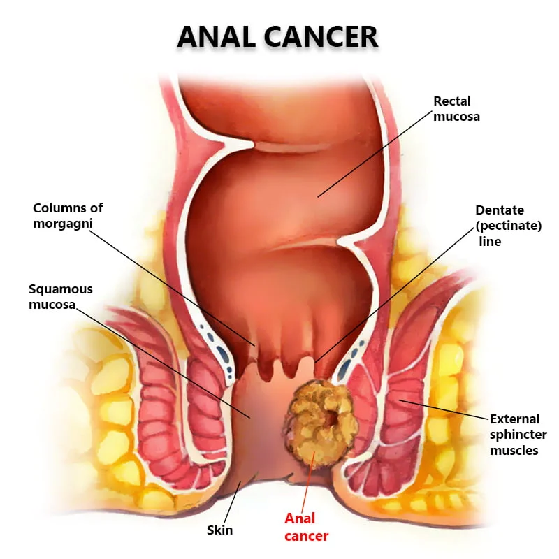 Best of Anal and swallowing