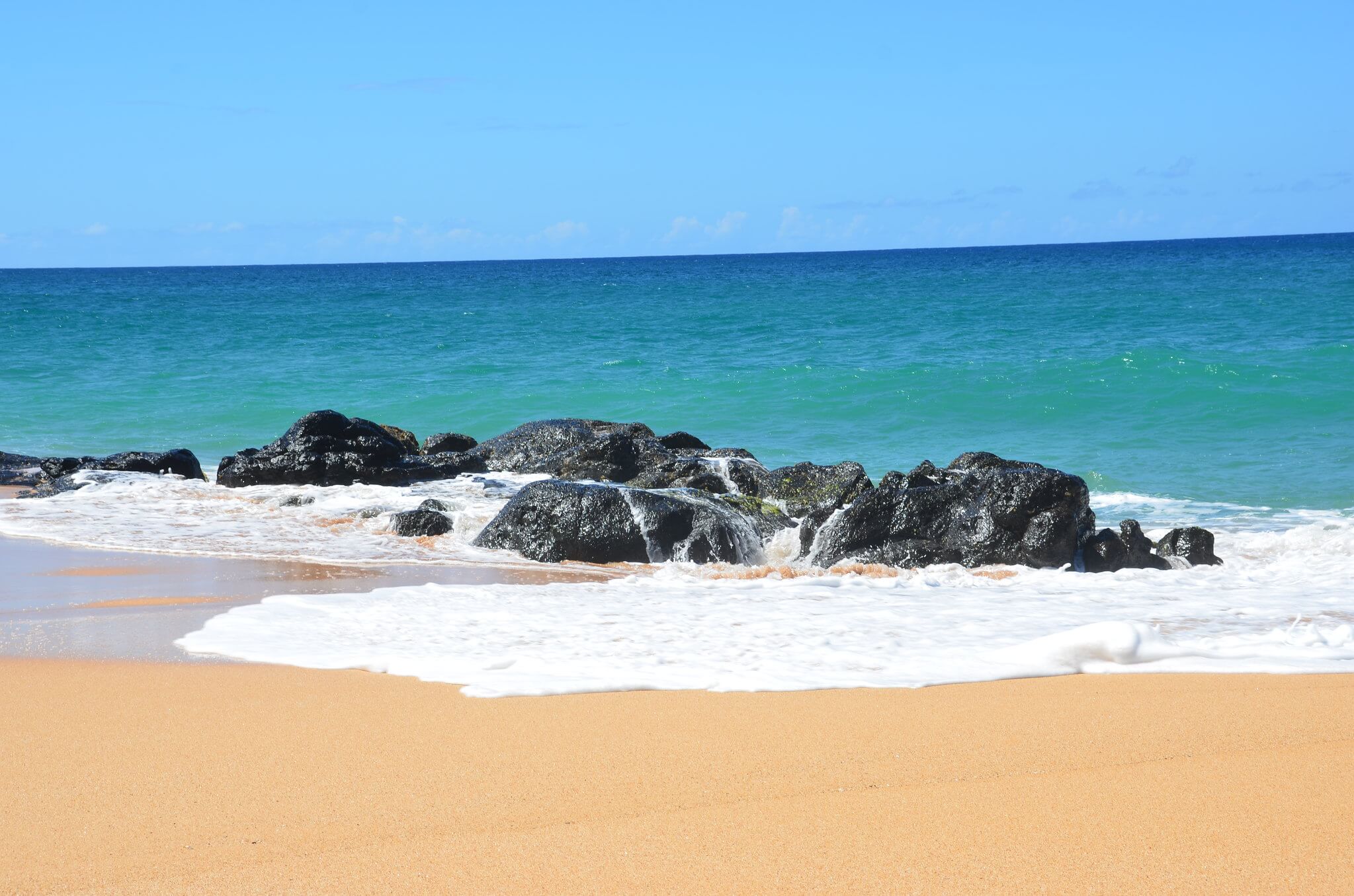 barry edelman recommends nude beach flashing pic