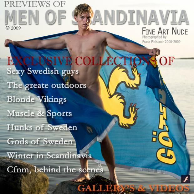 andrei dica recommends Naked Men Of Sweden