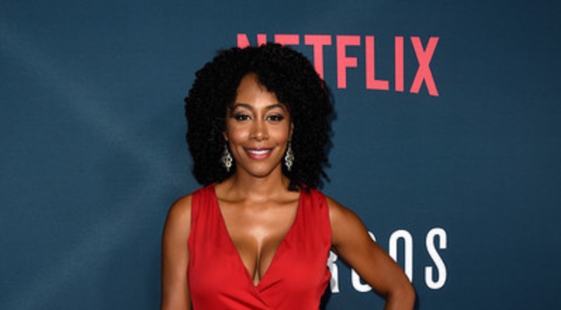 calvin coolidge recommends Simone Missick Nude