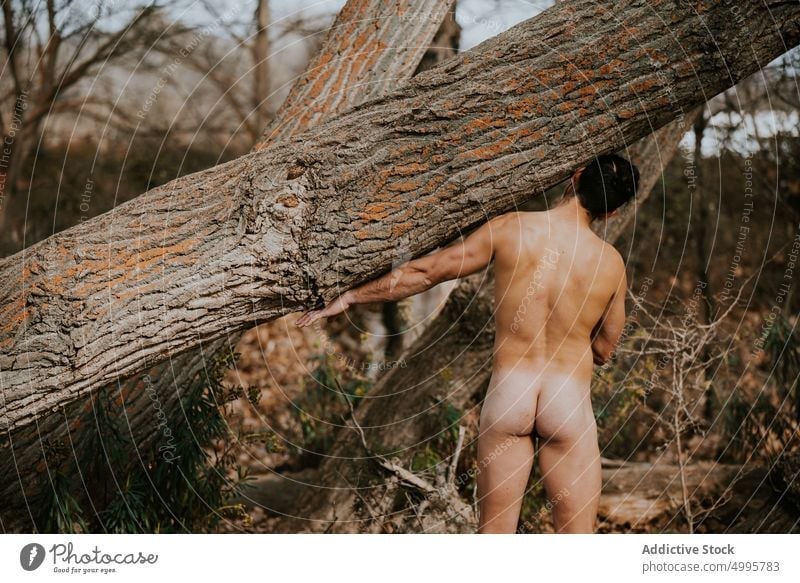 desirae alvarado recommends naked in woods pic