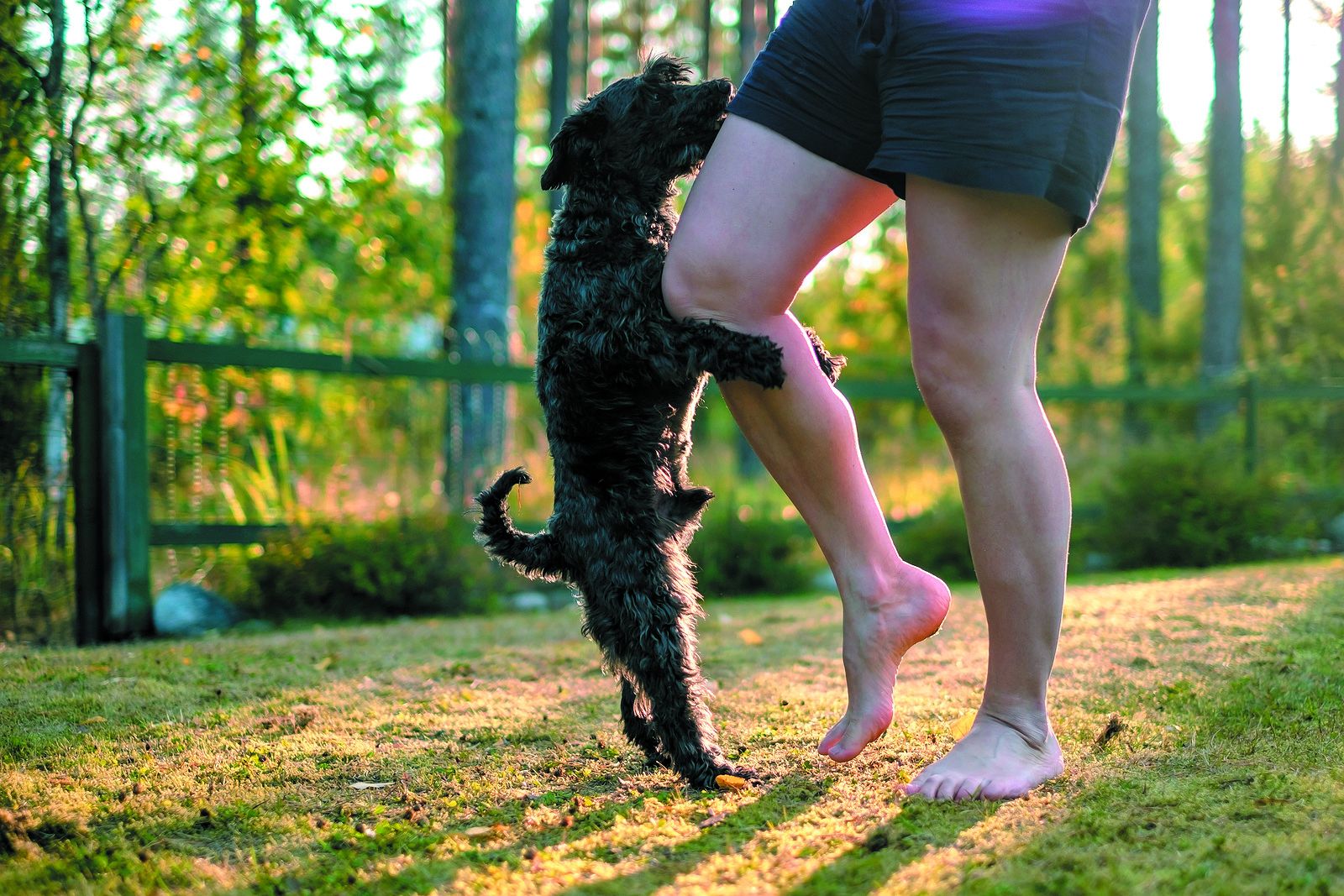 brian clukey add men humping objects photo