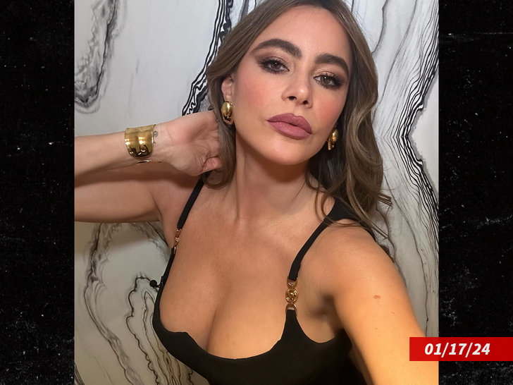 brittainy williams recommends hottest sofia vergara pic