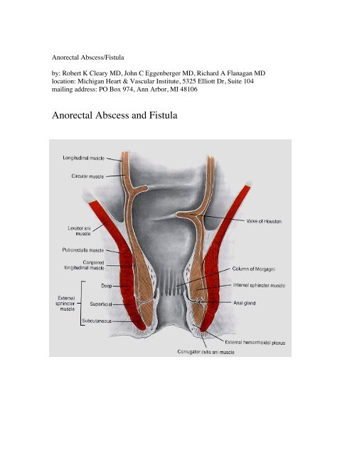 dianne germain recommends Deep Anal Gape