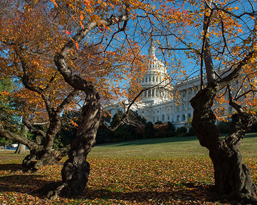 brandon keim share autumn falls secretary photos