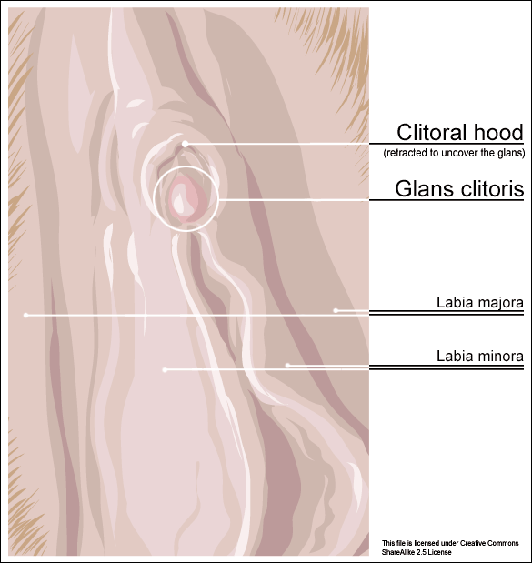 damodar shanbhag recommends clit hood pulled back pic