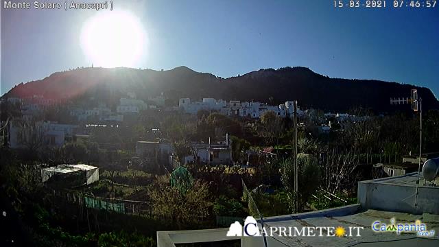 doreen harmon add capri webcam photo