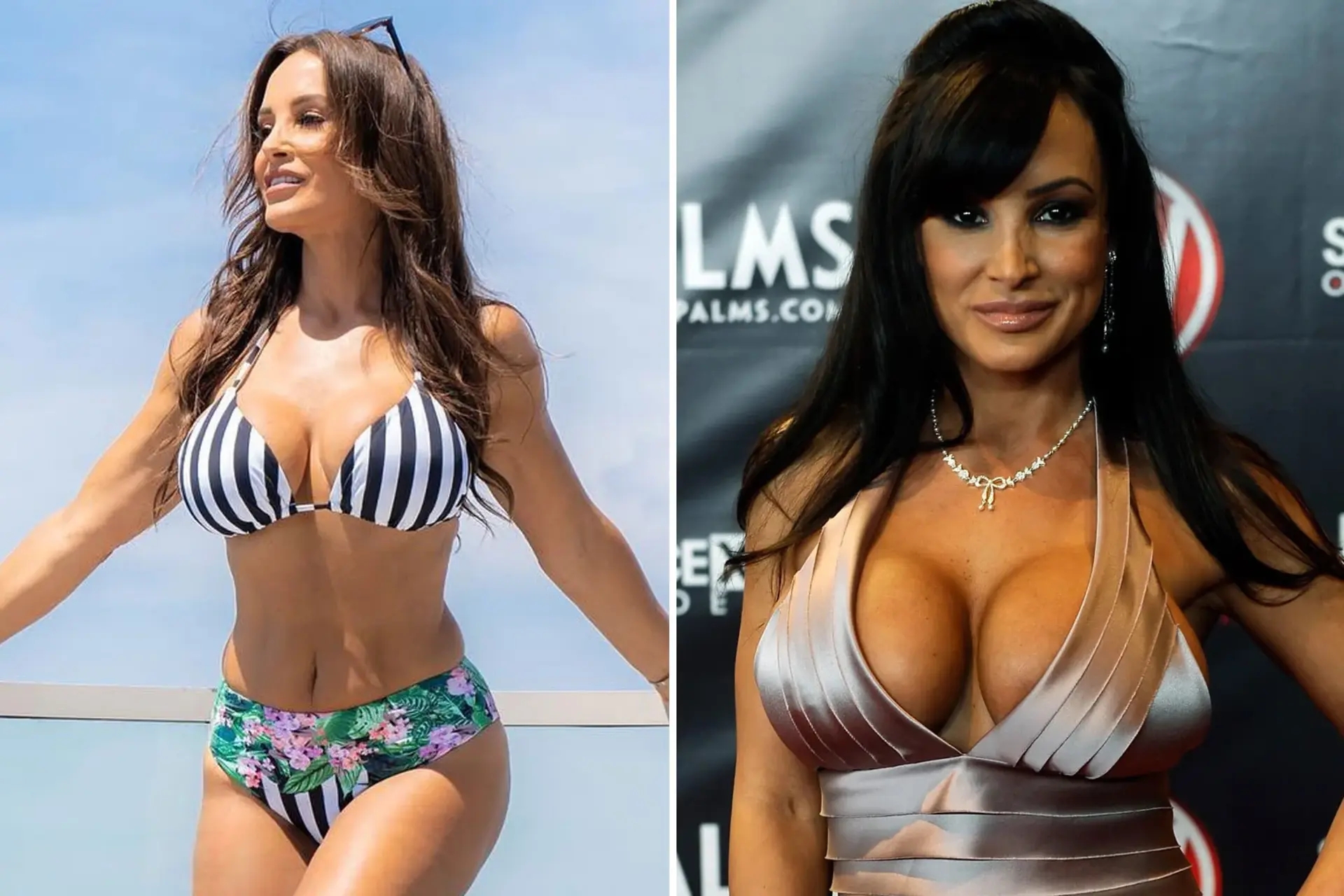 Lisa Ann First Porn tennessee escort