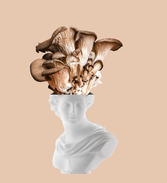 atef barakat recommends huge mushroom head pic