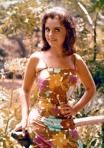 dawn wells nude pics