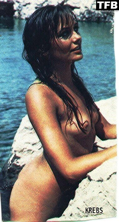 armand vos add photo lesley anne down nude