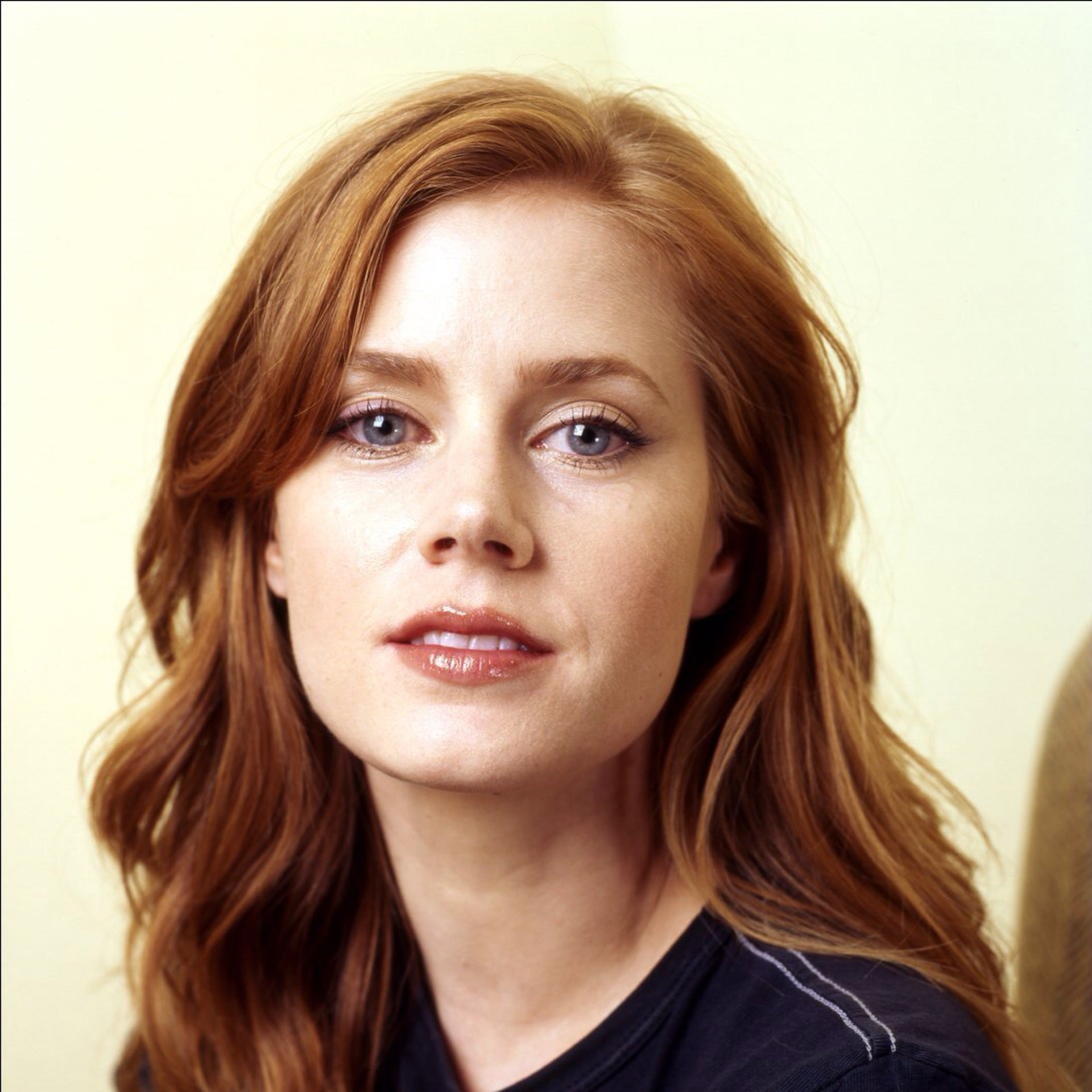 brian bricks recommends Amy Adams Hot Pics