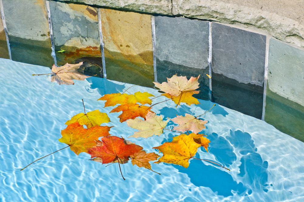 autumn falls pool