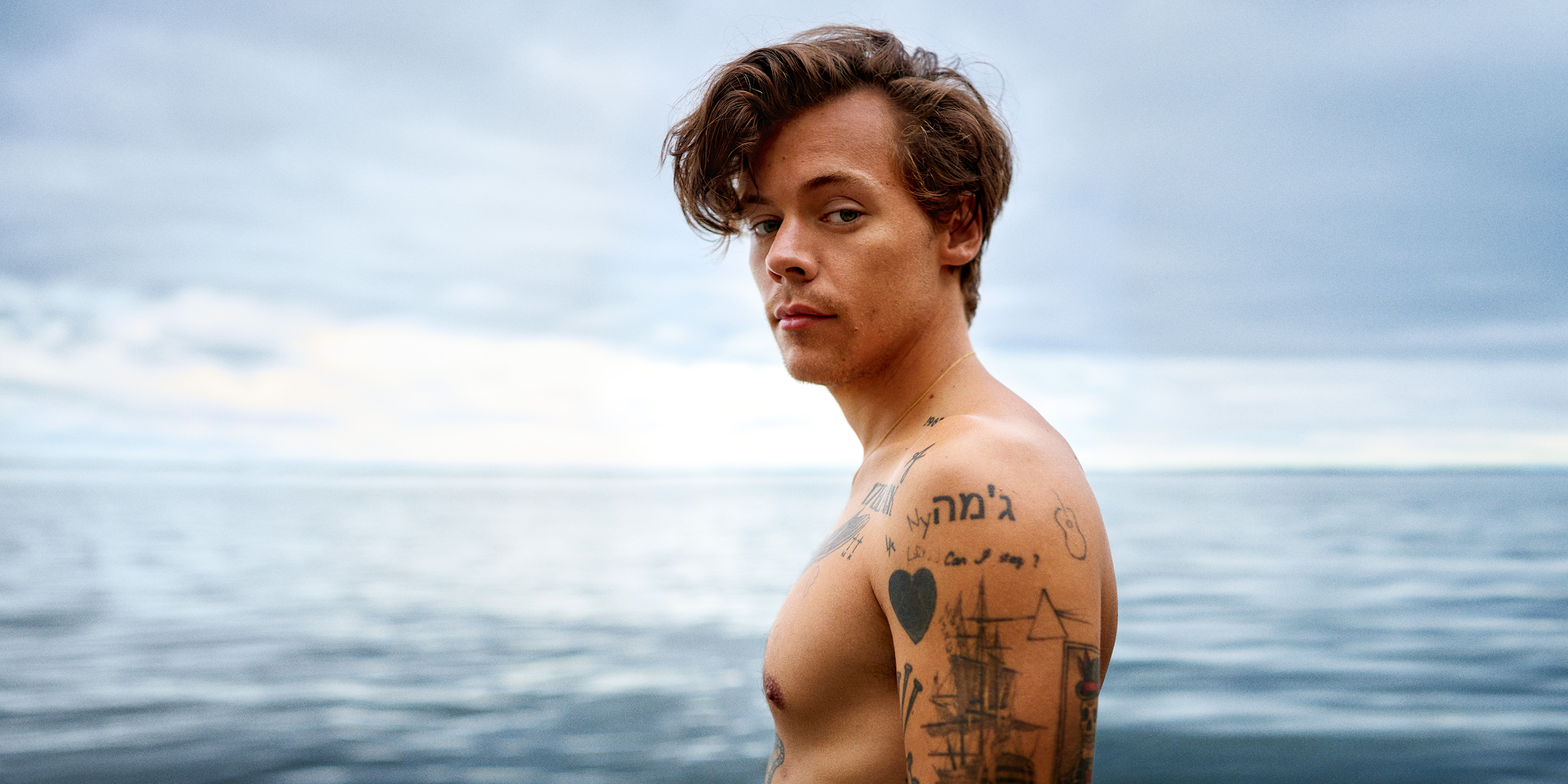 christopher focus mc neil share harry styles gay porn photos