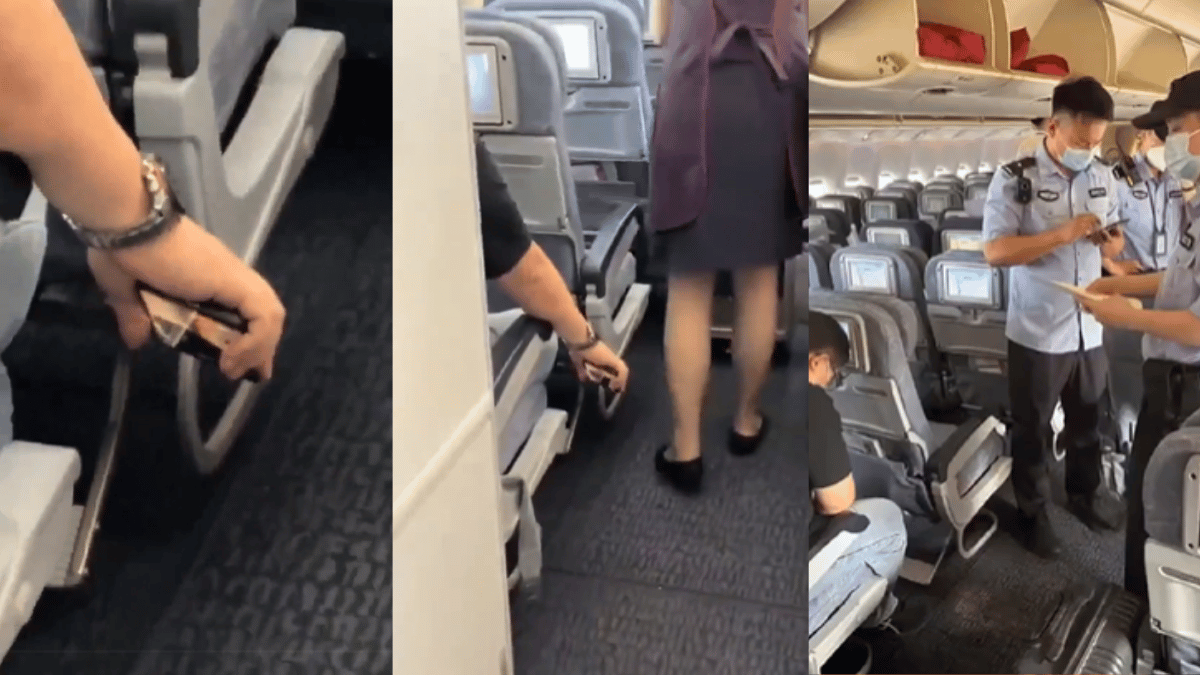 Flight Attendant Up Skirt disgusting monster