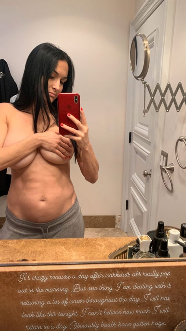 divine abcede recommends Nude Pictures Of Nikki Bella