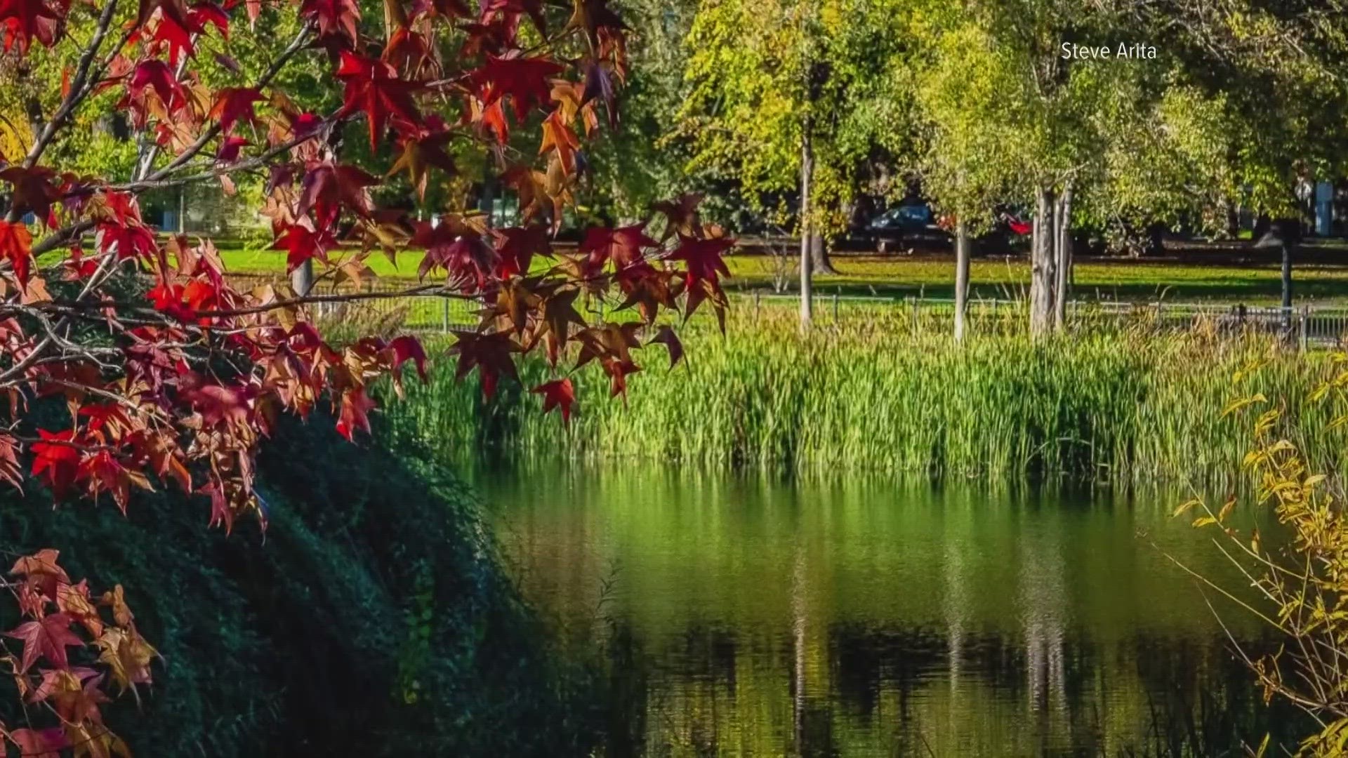 avantika mehta recommends colors of autumn porn pic