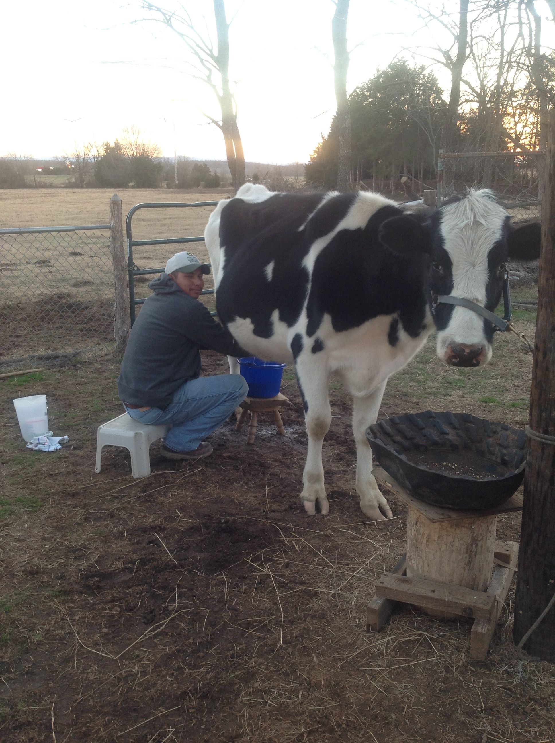 donna newborn add milking latina photo