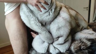 bob marmor recommends fur coat handjob pic