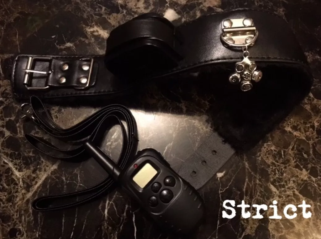 craig gaffney recommends Shock Collar Bdsm