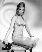 dawn murty recommends shirley eaton nude pic