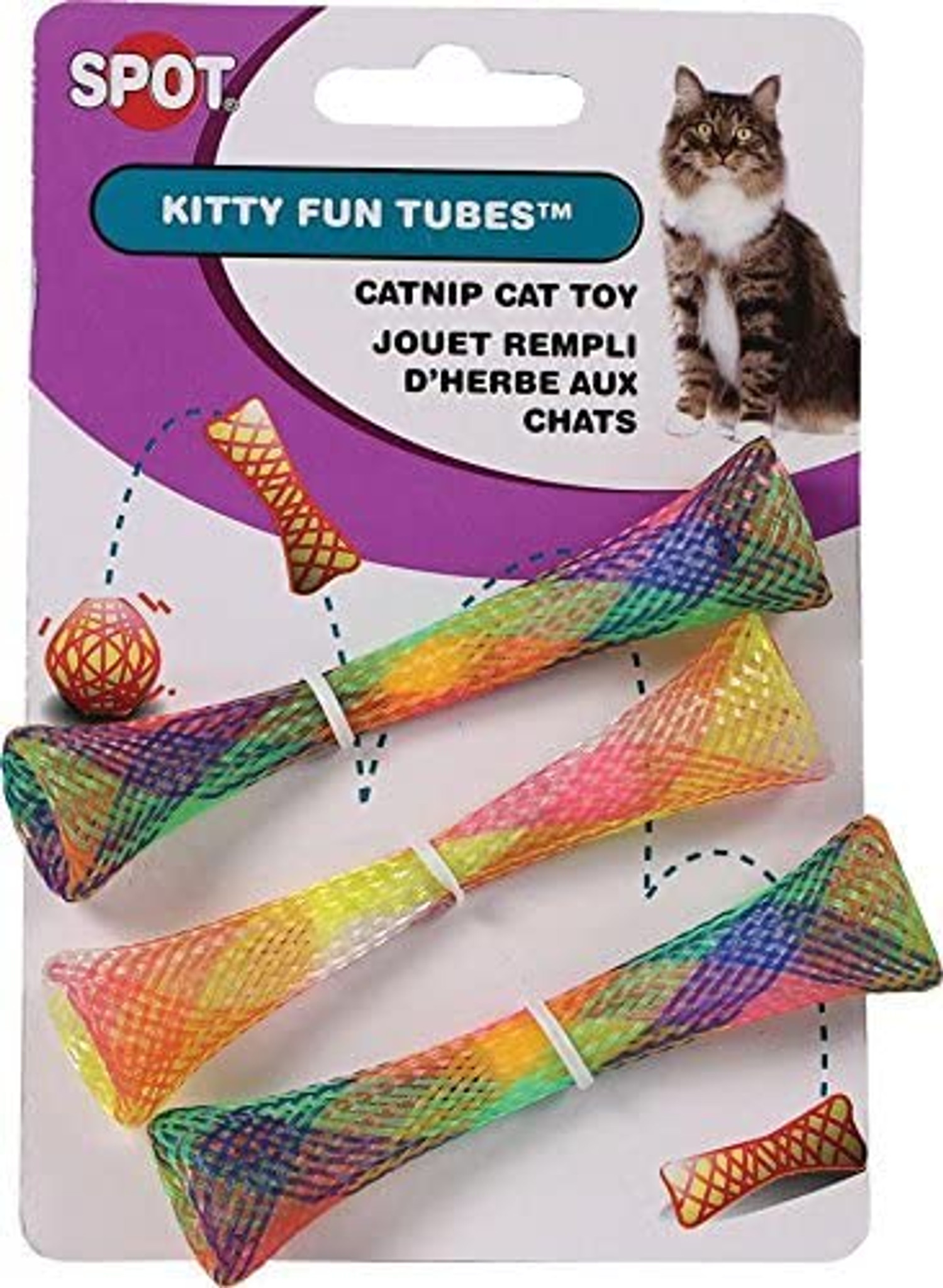 dan allmond recommends tube kitty pic