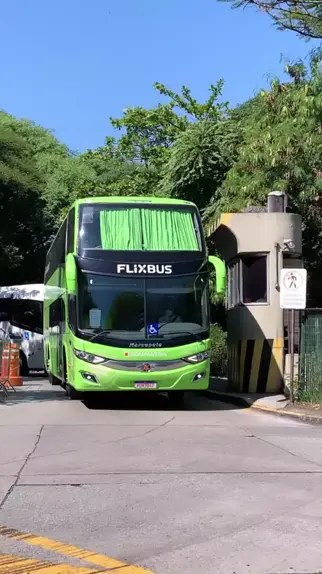 megnutt fan bus