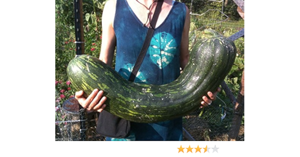 Massive Zucchini Oral naken erotikk