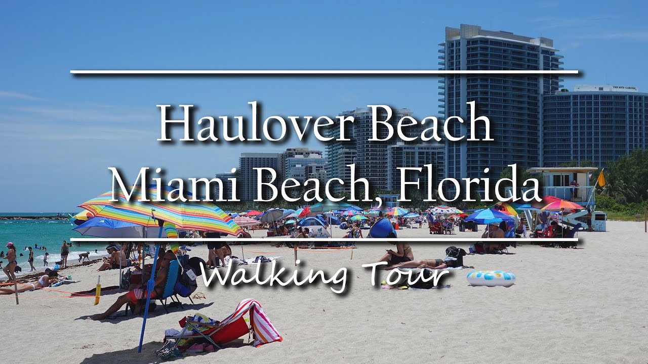 andrea colis recommends Haulover Beach Videos