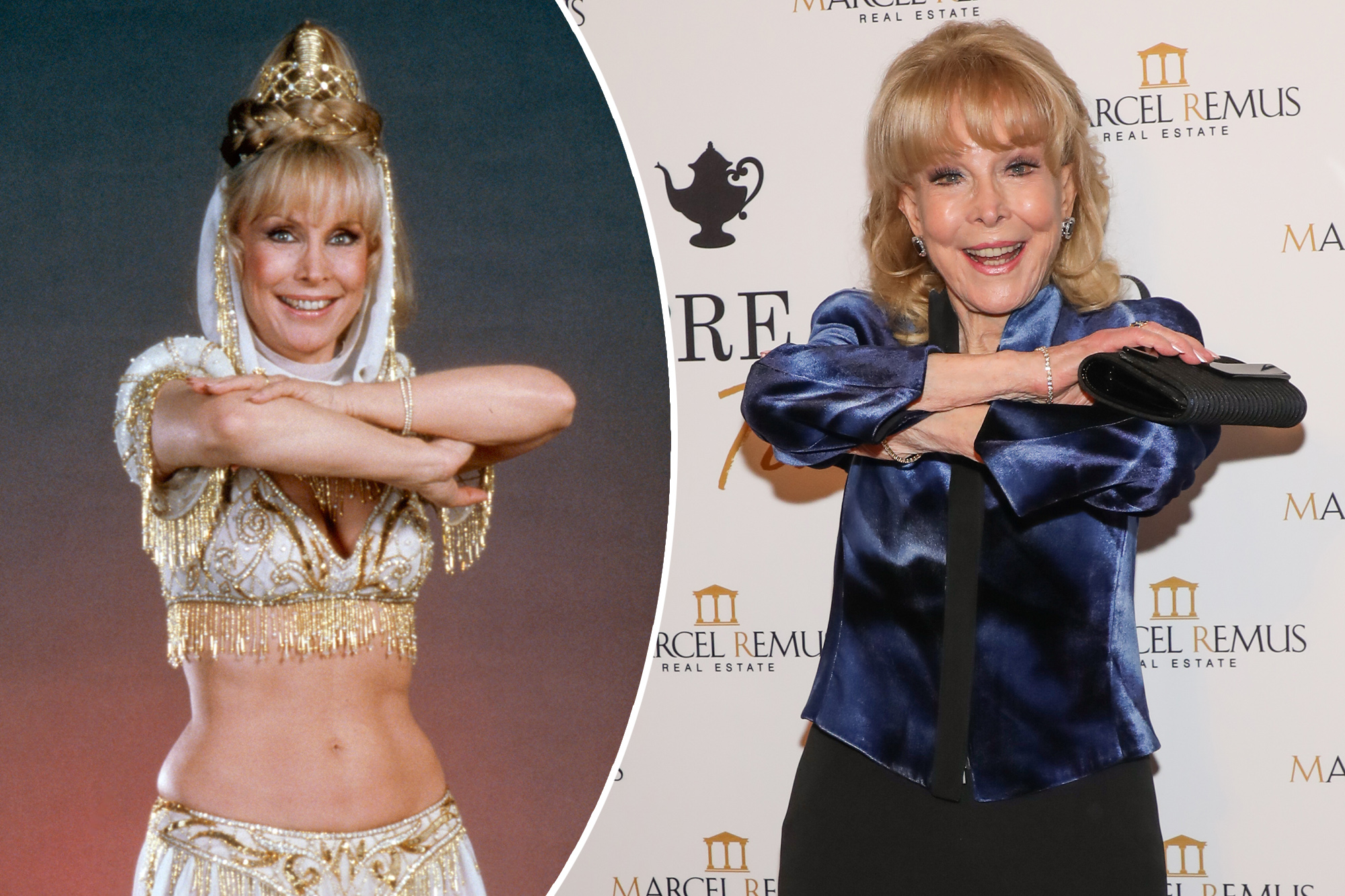 brian pat recommends Barbara Eden Nude Pics