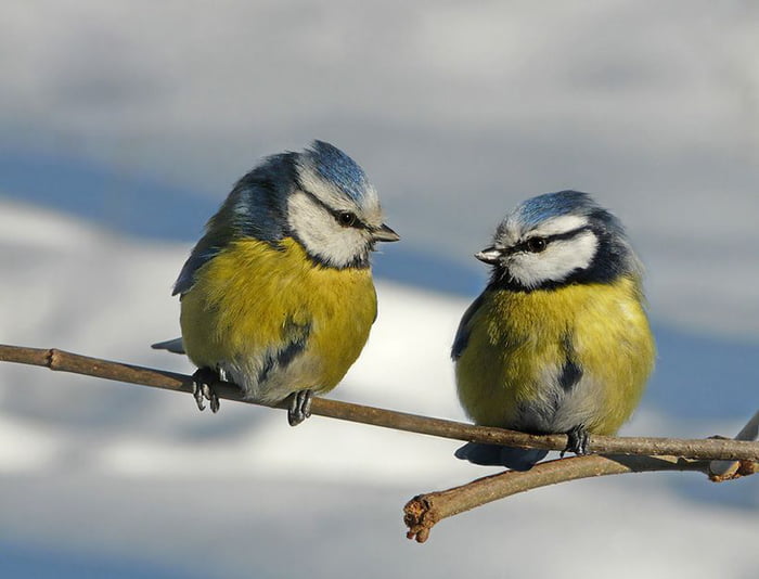 ben matthies share nice pair tits photos