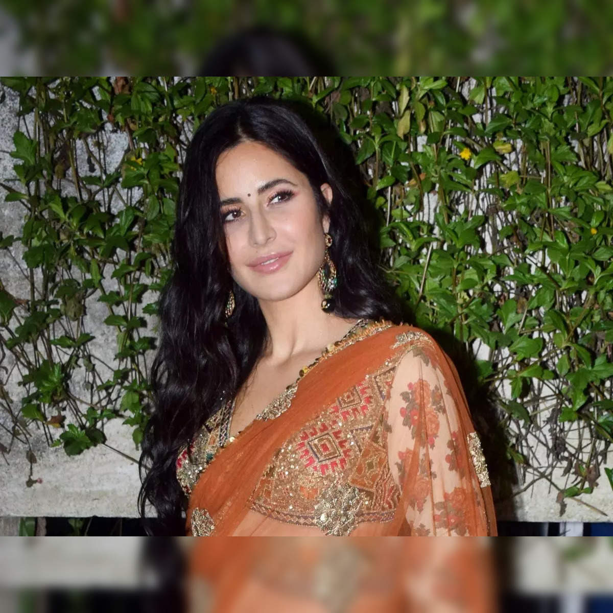 brett eddy add katrina kaif poorn photo