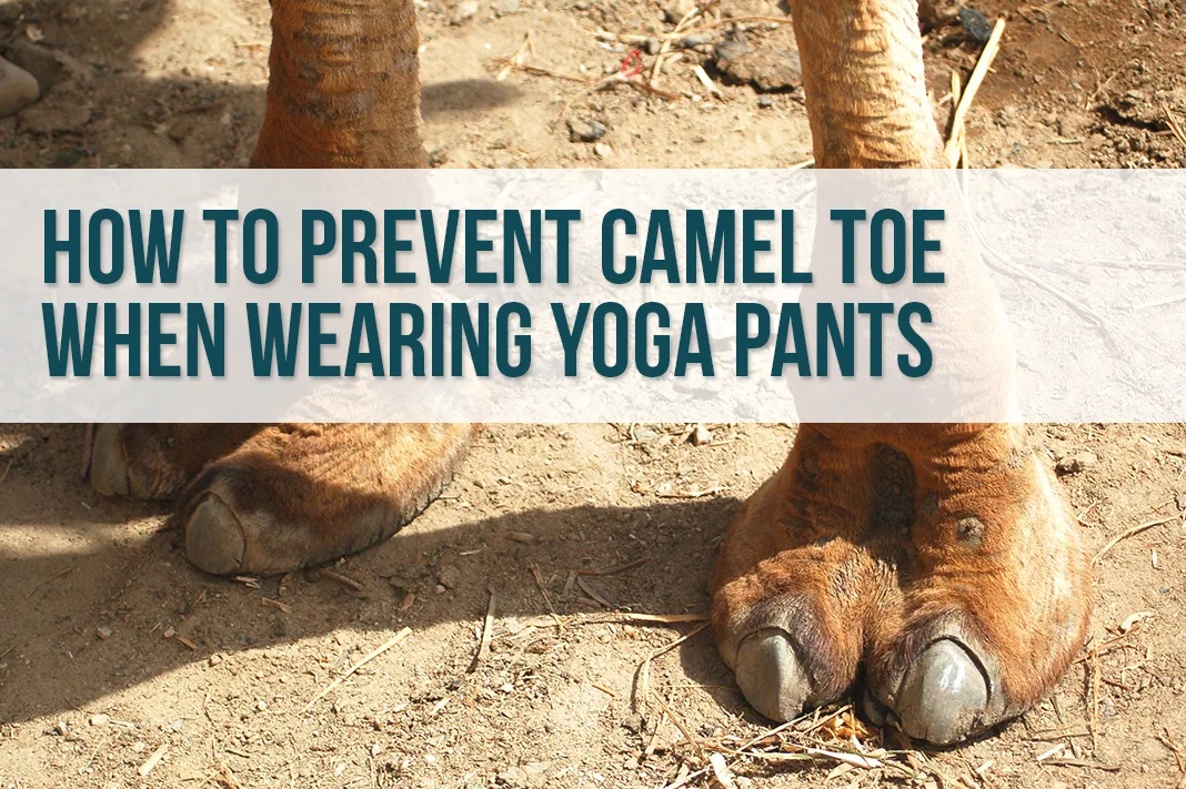 besim zekaj recommends wet camel toe pic